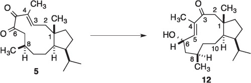 Conformational Effects and Stereocontrol in Synthesis Studies of Medium-ring Dolabellane Carbocycles