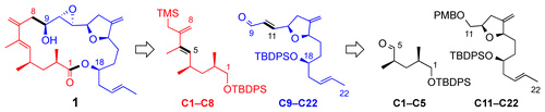 Total Synthesis of Amphidinolide K, a Macrolide that Stabilizes F-Actin