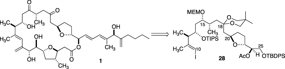 Studies of the Enantiocontrolled Synthesis of the C(10)–C(25) Subunit of Amphidinolide C